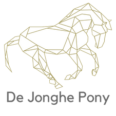 De Jonghe Pony