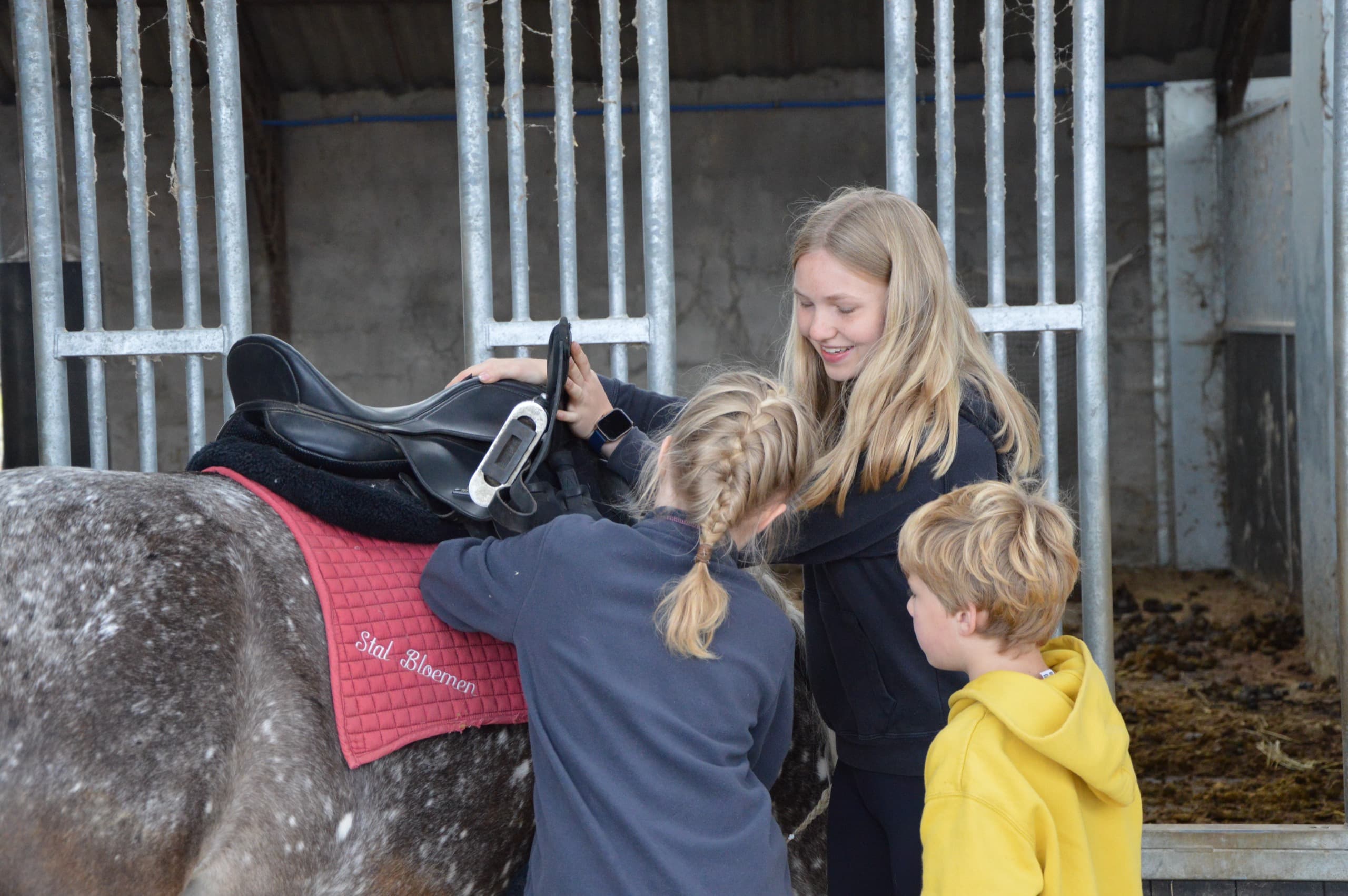 Kind wandelt aan de hand met een kleine pony op de weide