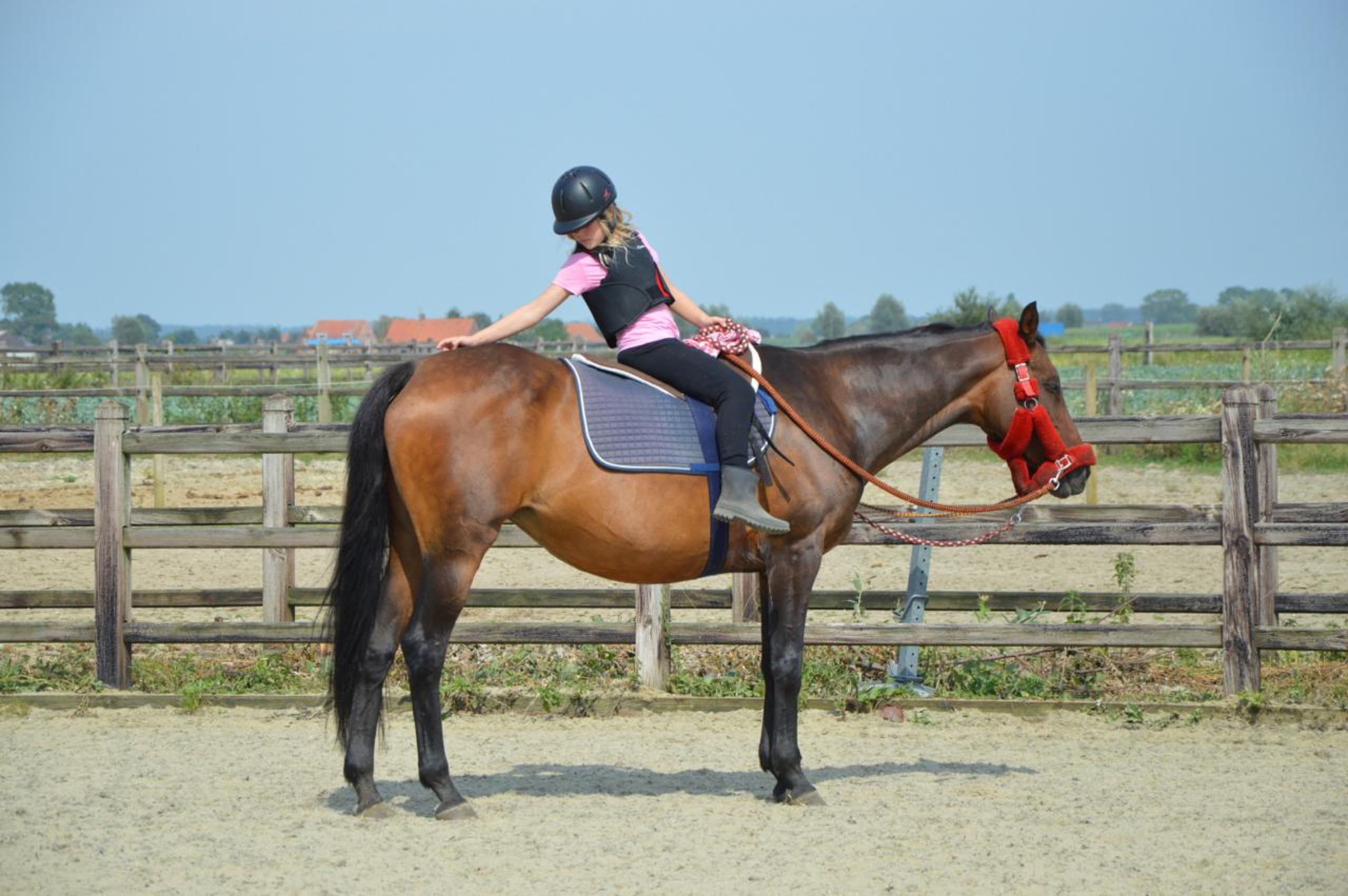 Quaresse staat rustig terwijl een kind haar leert kennen via Start 2 Pony