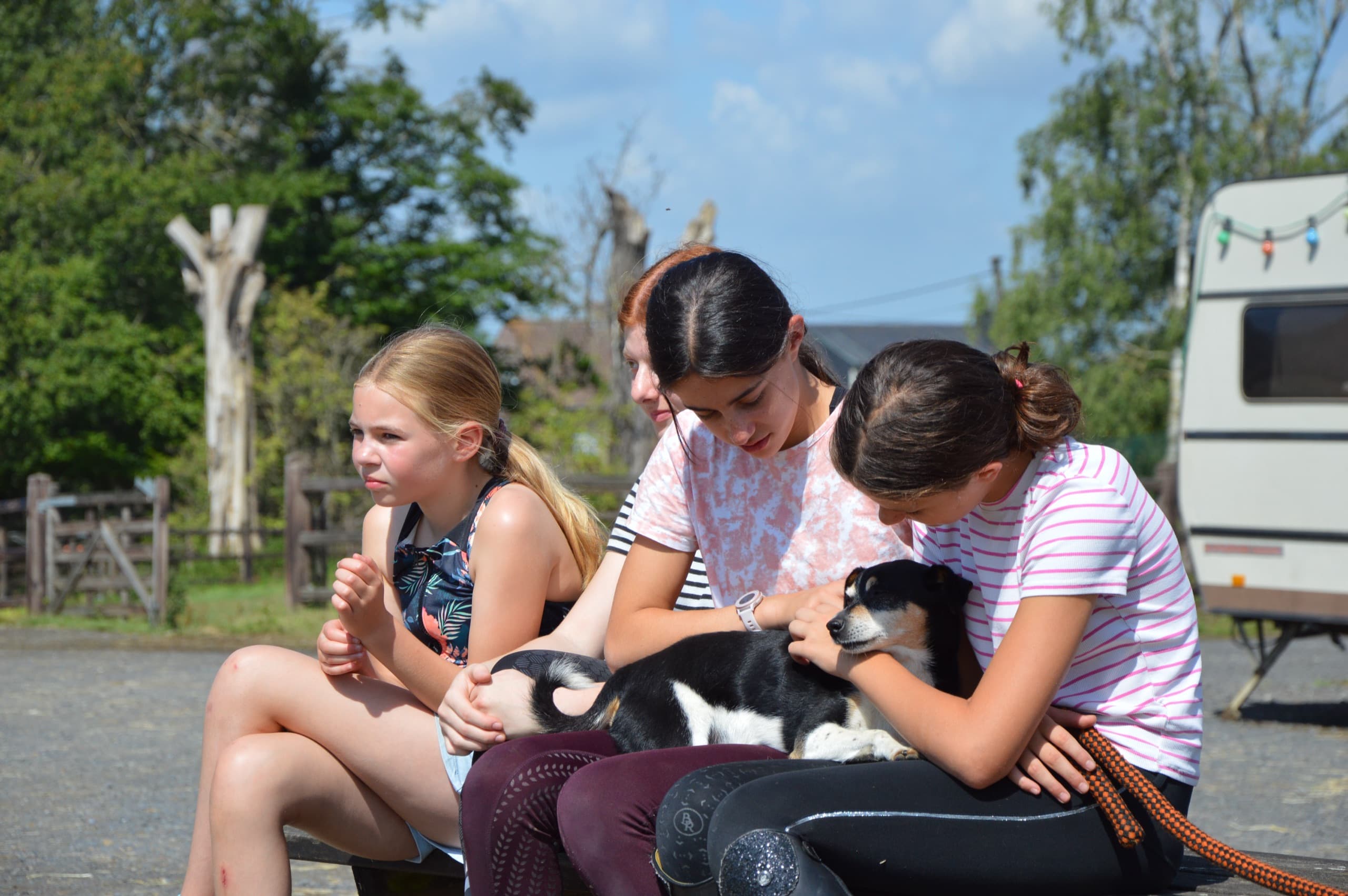 Drie meisjes zitten samen op een bank bij de stal en aaien een jonge hond