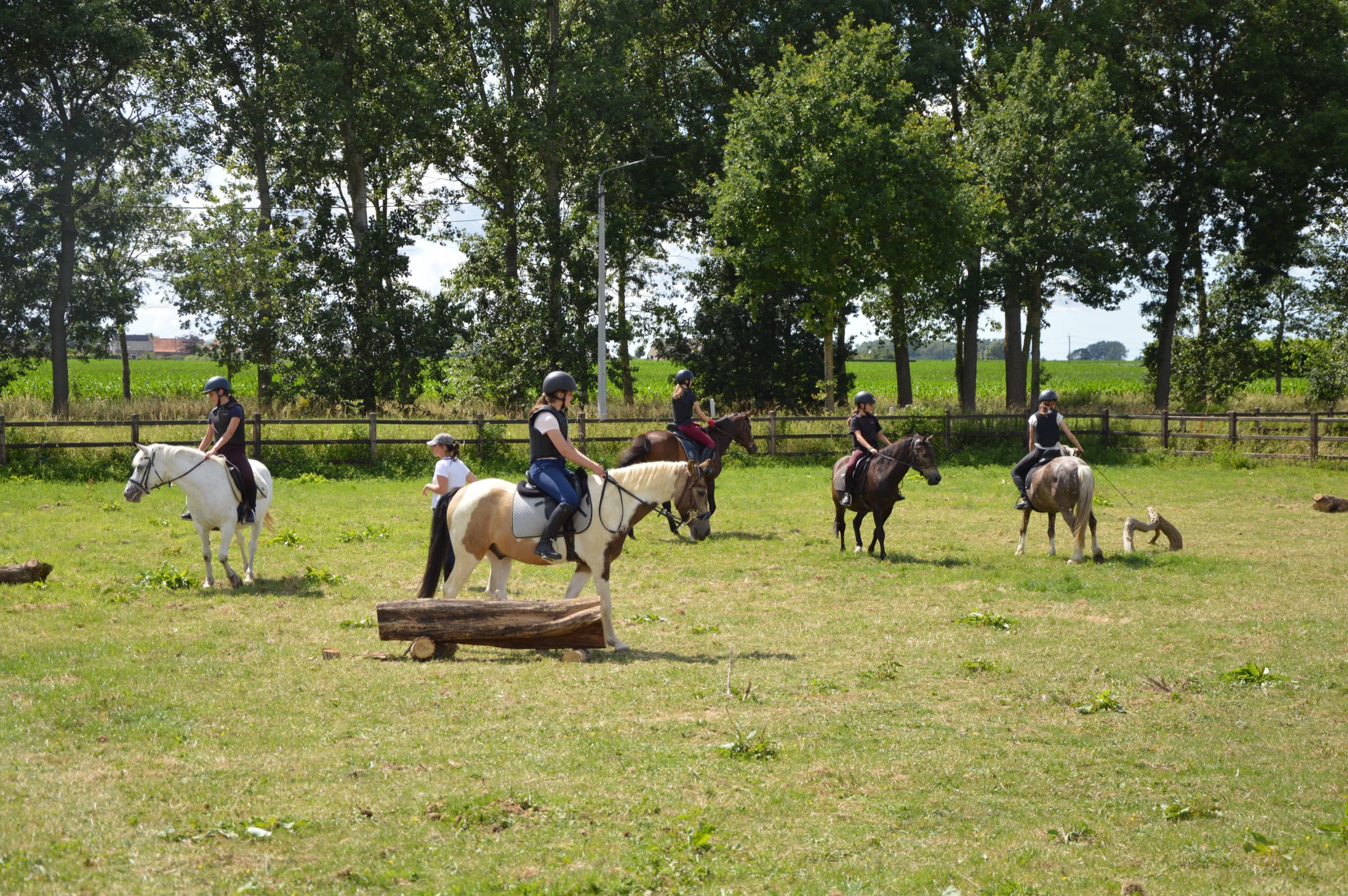Groep ruiters te pony op de grasweide met een boomstam als natuurlijke hindernis