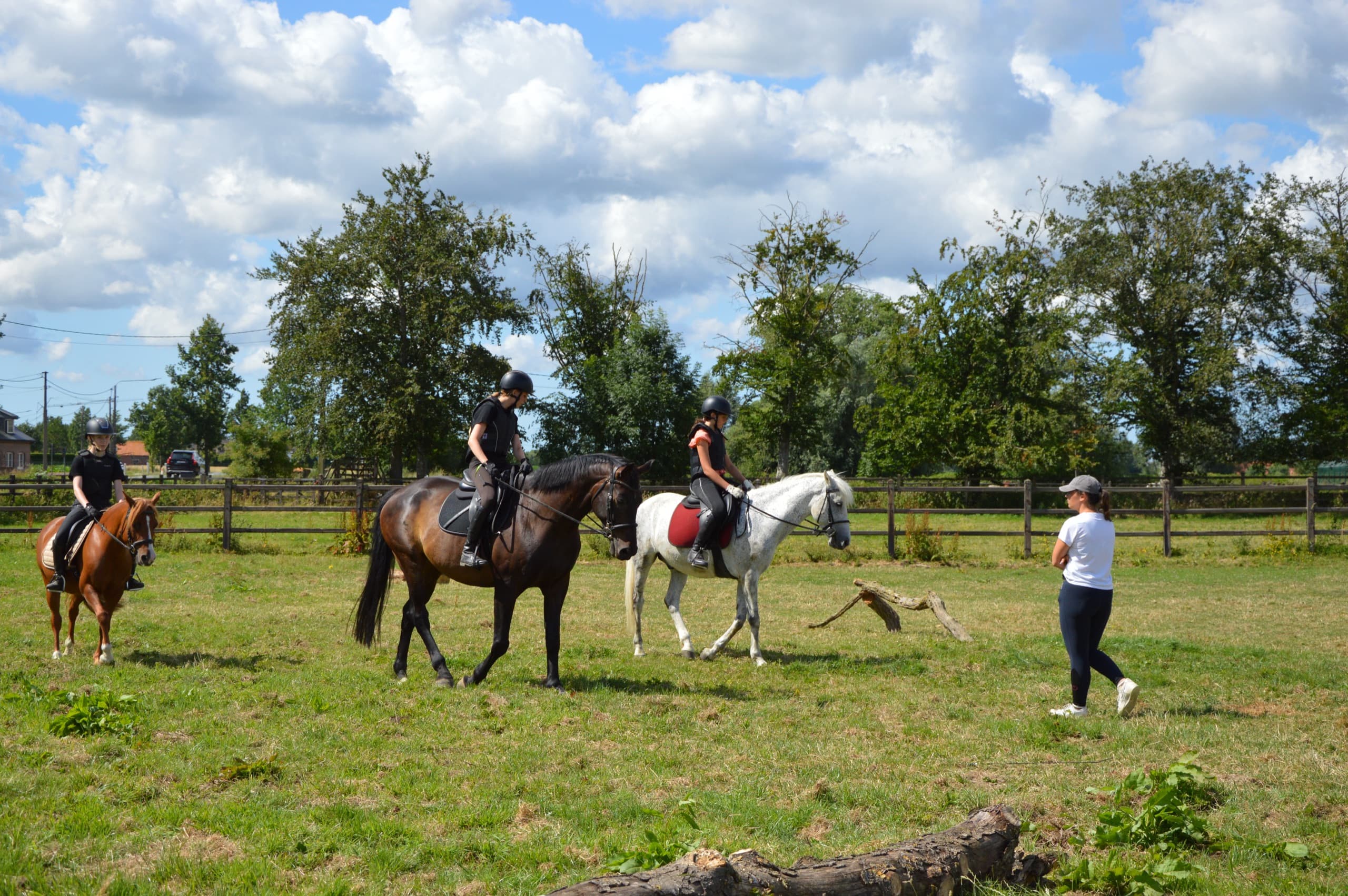 Les op de weide: ruiters te paard luisteren naar de instructrice
