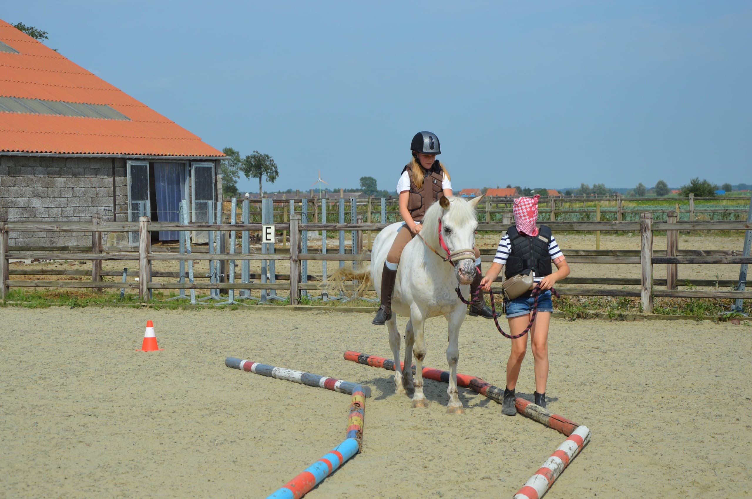 Kinderen borstelen en verzorgen de pony's op kamp