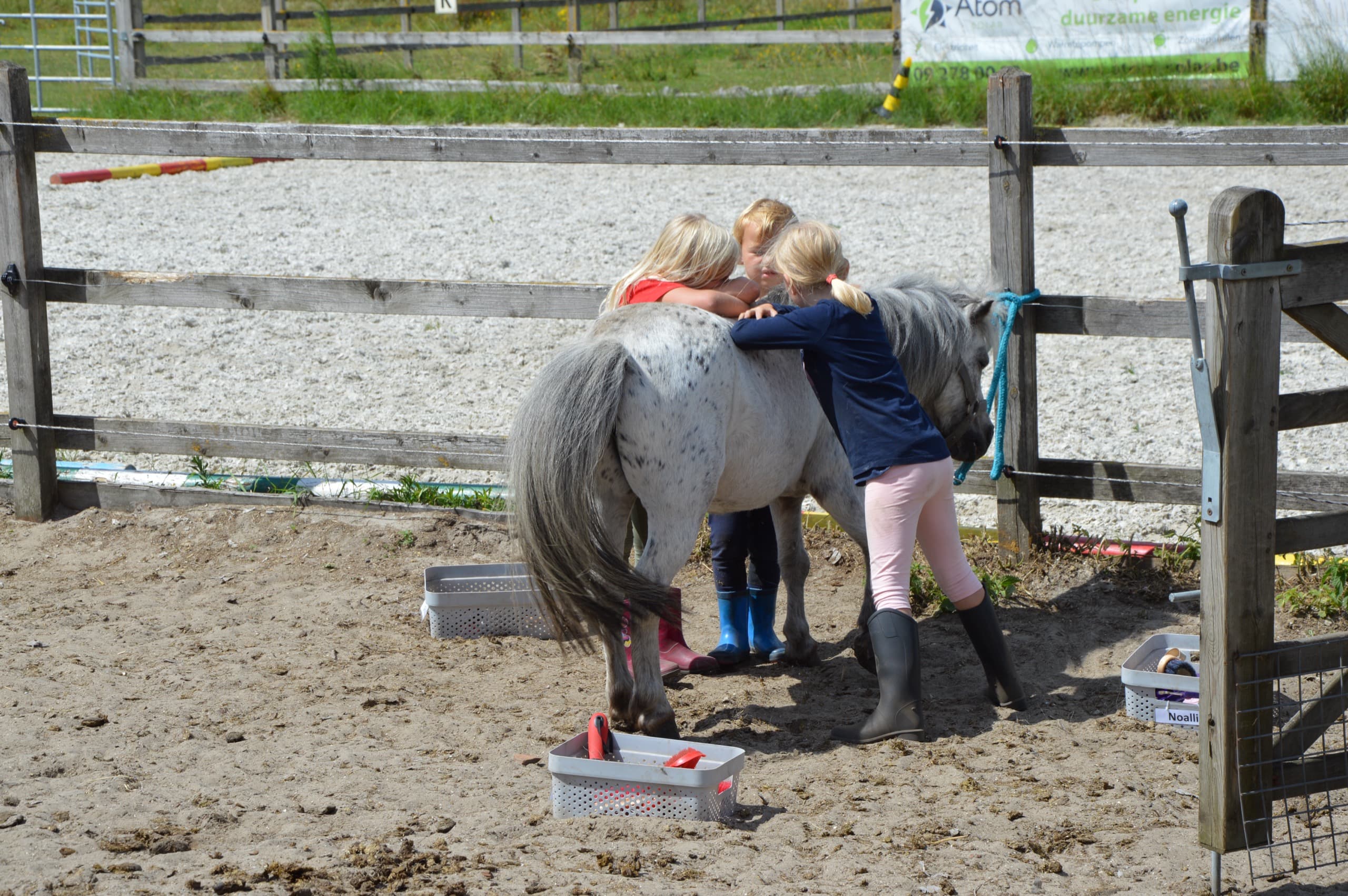 Rustmoment op kamp: kinderen zitten gezellig bij hun pony