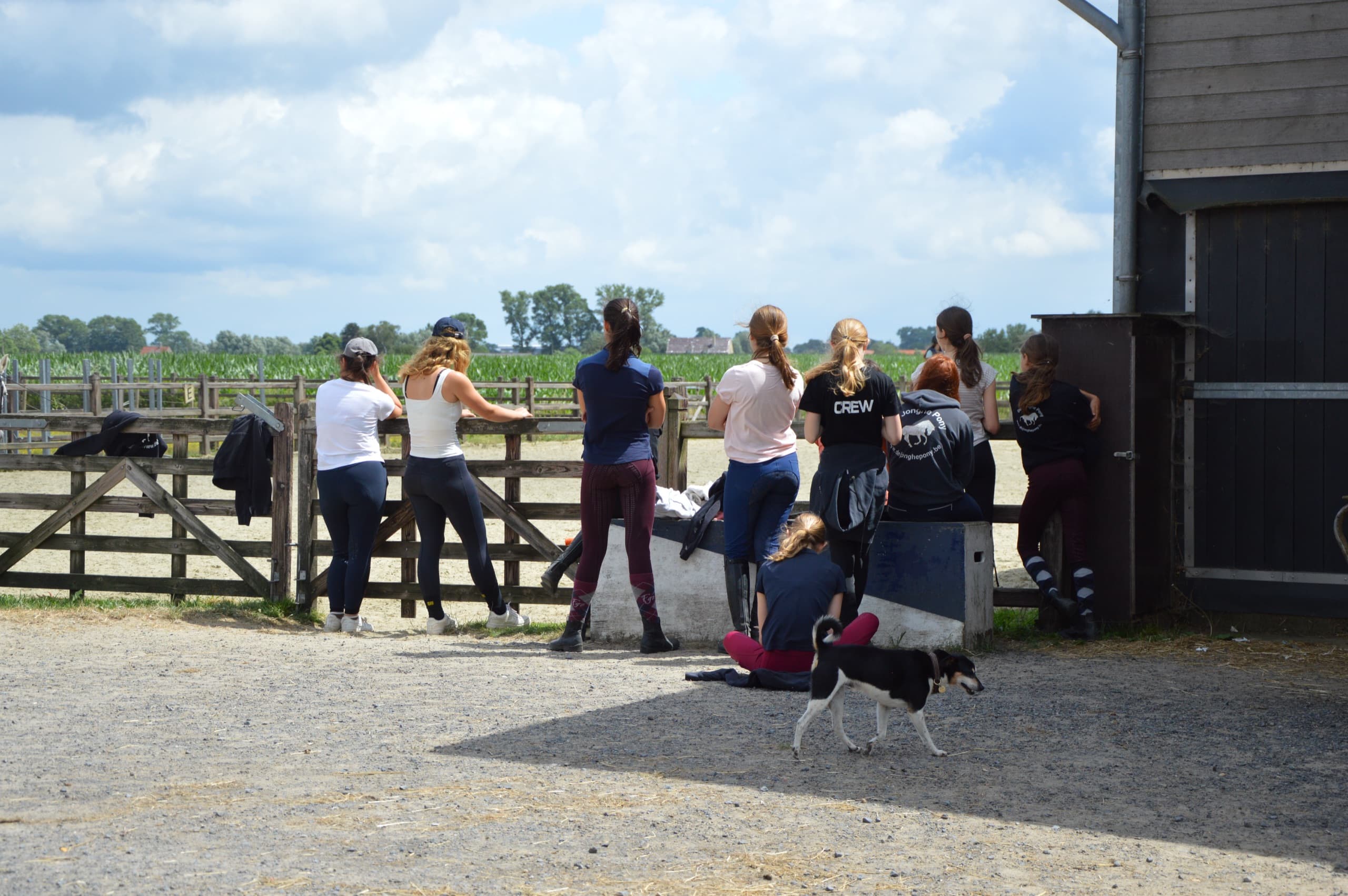 Kampdeelnemers hangen samen met het hondje over de omheining bij de stal