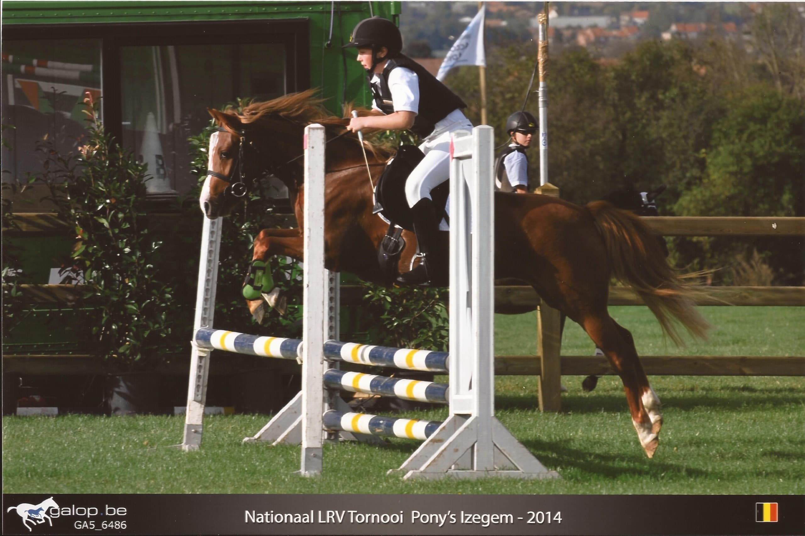 Funny, dochter van Vlokje, staat fier als beste springpony van de kudde