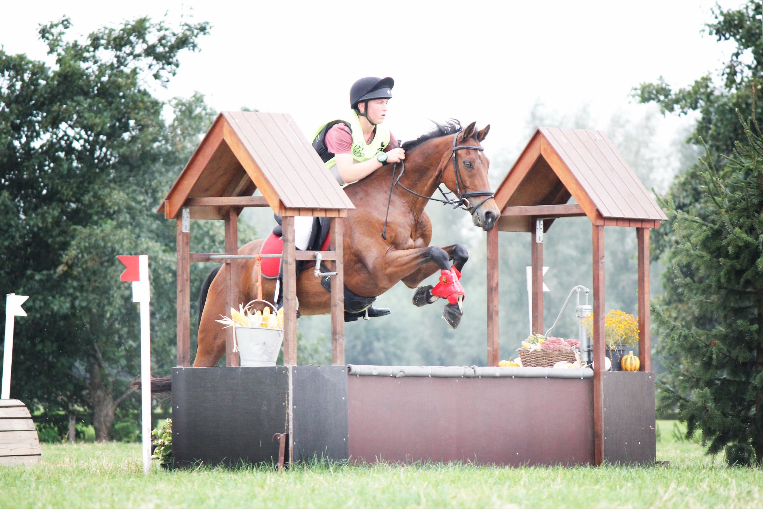 Jantje, het kleine paard dat vertrouwen leerde geven, bij De Jonghe Pony