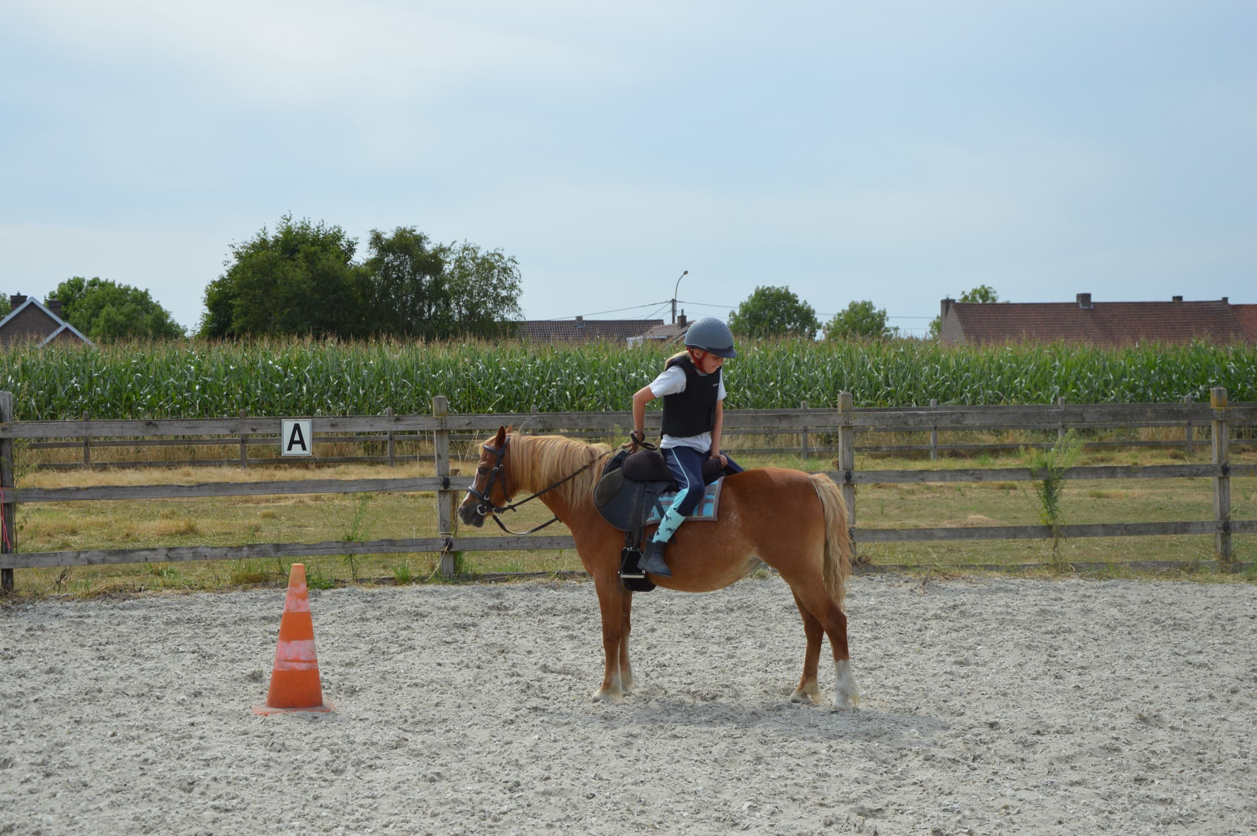 Simonneke, het pittige Welsh-pony met snelheid en betrouwbaarheid, bij De Jonghe Pony