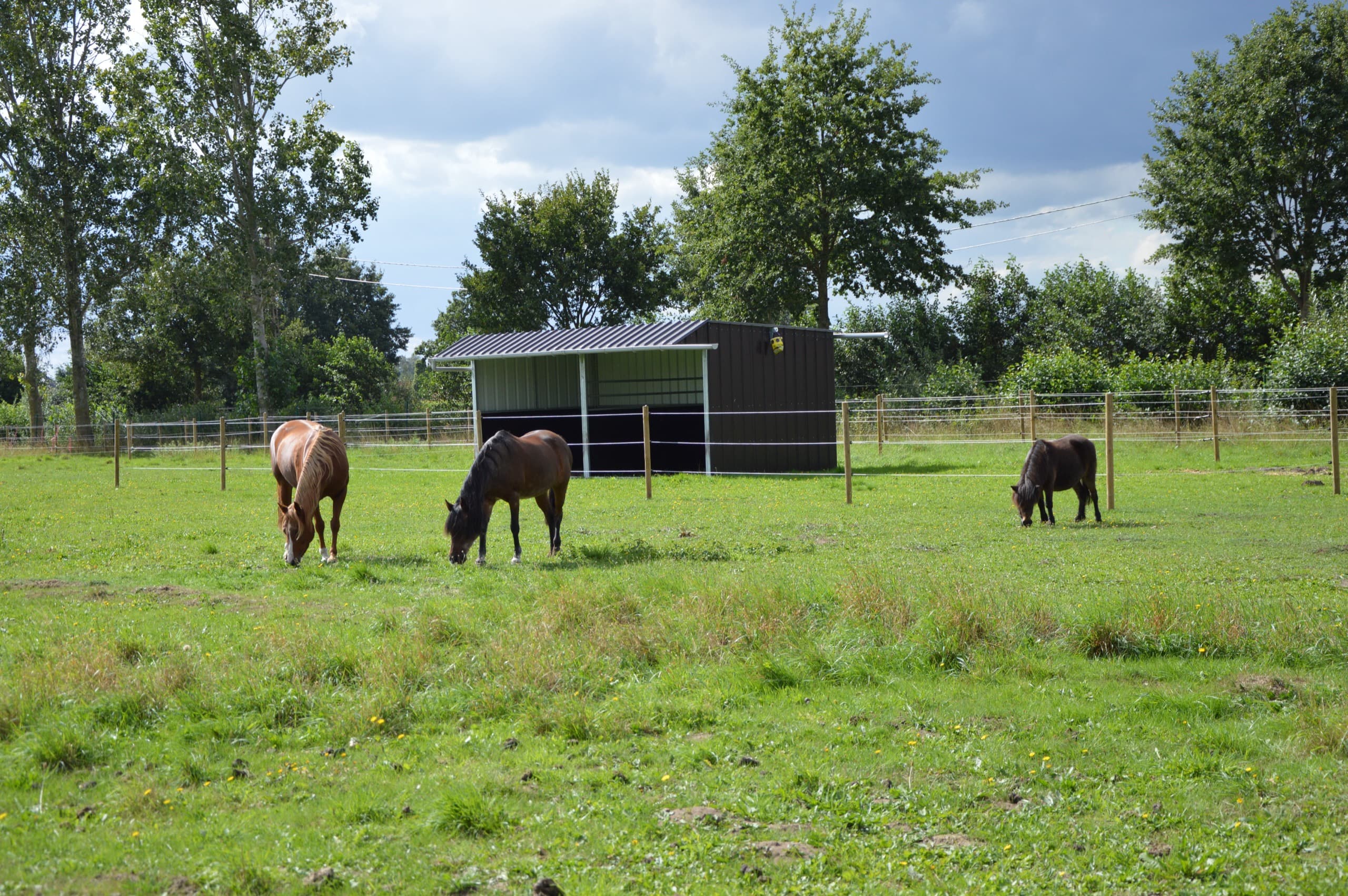 Overzicht van de weide en stalbouw op het terrein van De Jonghe Pony in Wingene