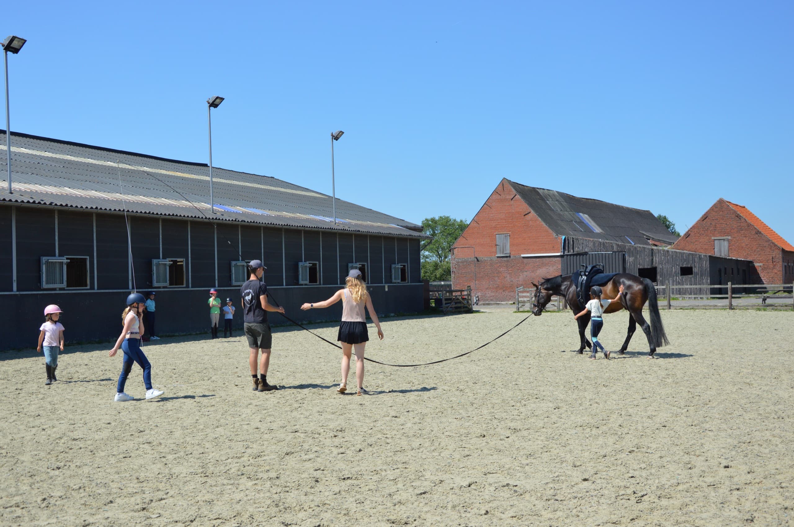 Voltigeles op de buitenpiste: het paard wordt gelongeerd terwijl de kinderen toekijken